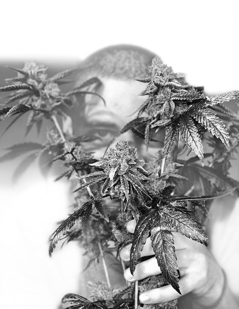 GlDelivery's tweet photo. 420 Grand Opening specials all month long #420allmonth #losangeles #cannbisdelivery https://t.co/h9ioI0Am16