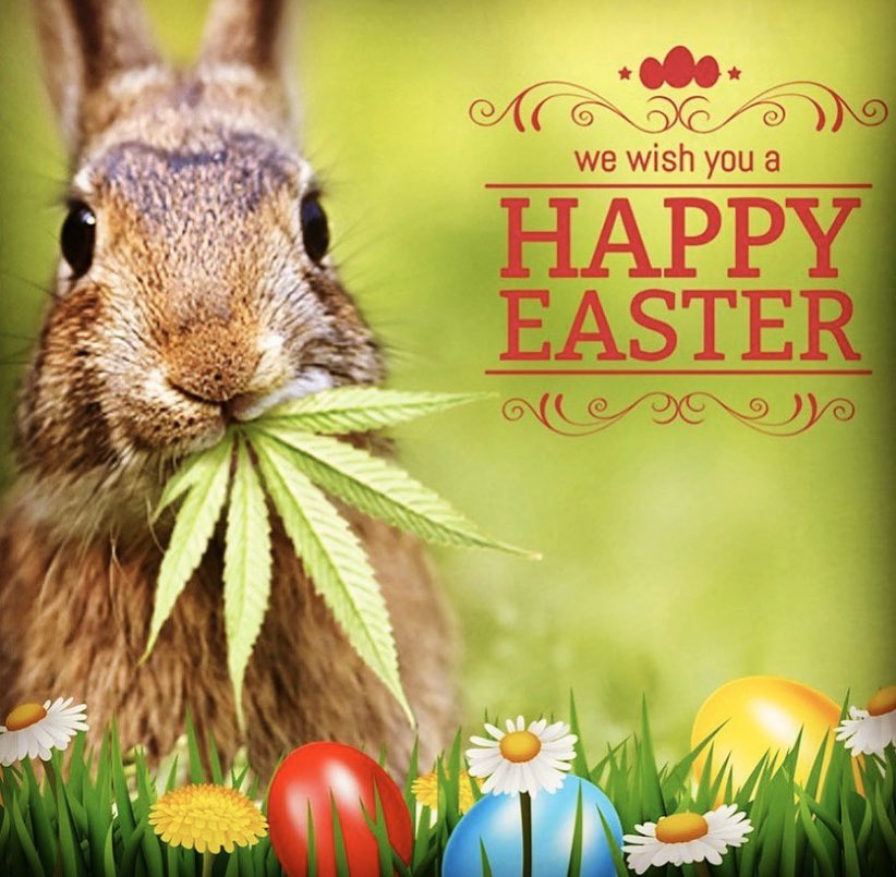 MedPotDelivery's tweet photo. #HappyEaster #CannabisCommunity #staysafe #blessed https://t.co/0muTya5f4y