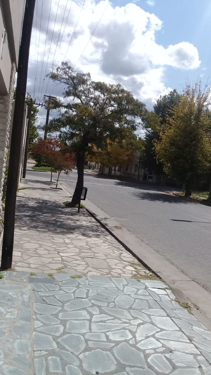 MlarroceaMiriam's tweet photo. #Rauchsequedaencasa..
Nos seguimos cuidando entre todos! @maxisuescun @MuniRauch @GJPalazzo @SaludRauch @MinDesarrolloBA @FerRaverta @rodsald https://t.co/okagRrHuCw