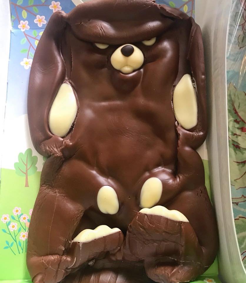 ky_tsunami's tweet photo. #EasterInQuarantine
#Easter2020
#EasterBunny https://t.co/fEEFcH5TLz
