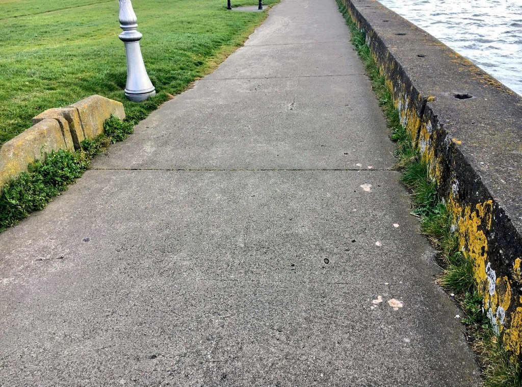 Local History 🇺🇦 tweet media