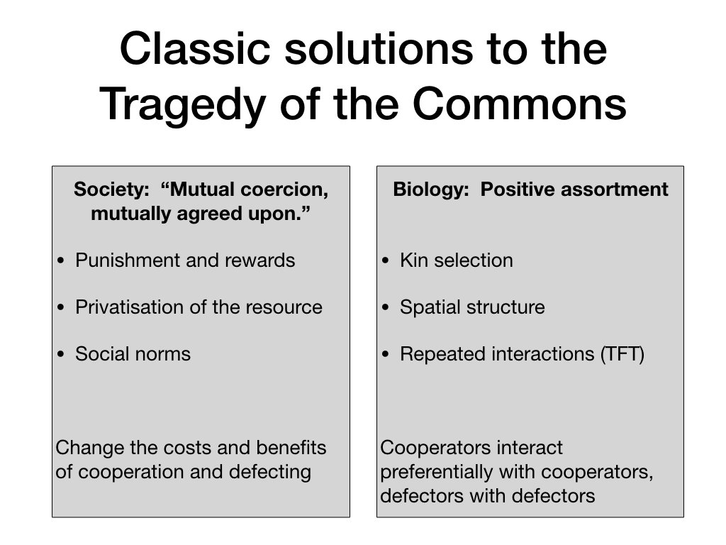 Hardin’s answer to cheaters was “Mutual Coercion, mutually agreed upon,” which includes top-down enforcement (policing) and privatisation (back gardens). Elinor Ostrom, 2009 Nobel Laureate in Economics, later changed the focus to social norms (peer enforcement)