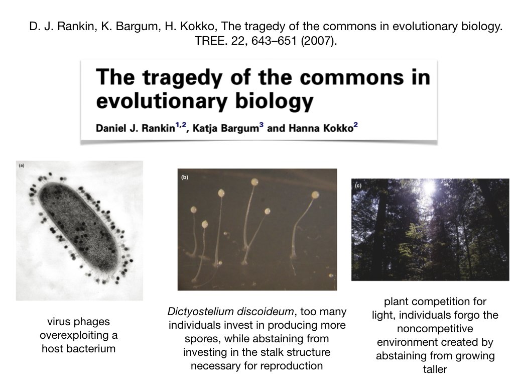  #SelfishPricks aren’t limited to humans. Here’s a great review by Daniel Rankin et al. ( https://bit.ly/3b0WgYq ) who describe biological Tragedies of the Common.