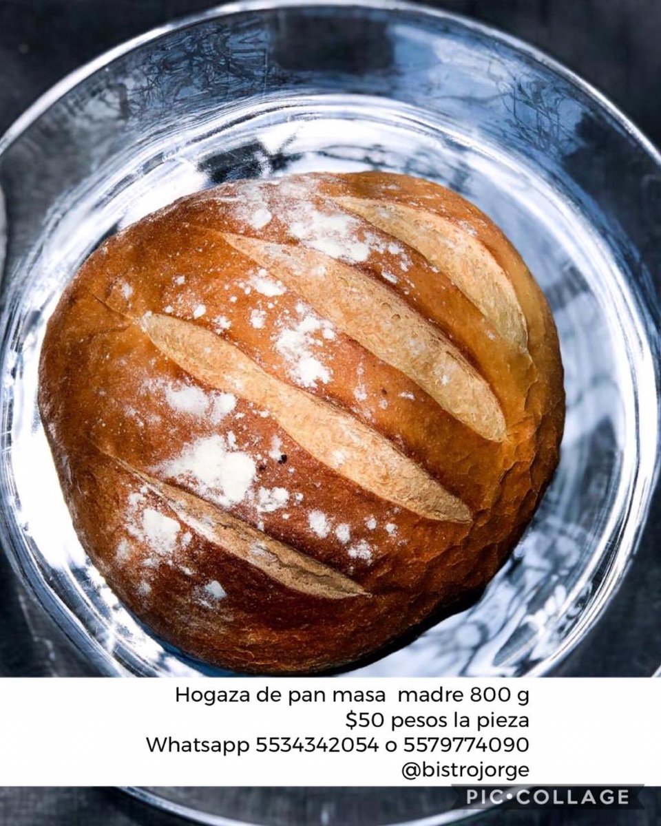 _SemillasdeVida's tweet photo. Si vives en la #CDMX @bistrojorge te lleva pan hecho con masa madre, panadería, ensaladas, guisos y pastas hasta tu casa 🏠🍽🍮🍝🥗
#ConsumeLocal 
#QuedateEnCasa https://t.co/NWZ9jZvoAx