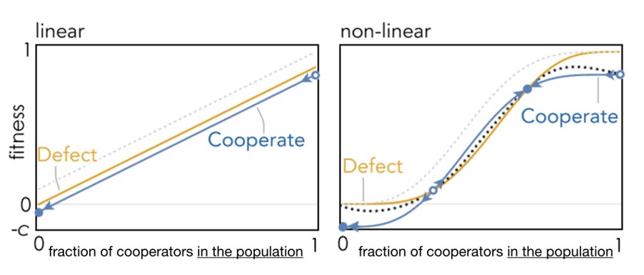 There are many possible curves; all have a region where a few additional cooperators sharply raises the amount of public good produced. With this added realism, cooperation can be stable in well-mixed, structured populations of unrelated individuals, including cheaters.