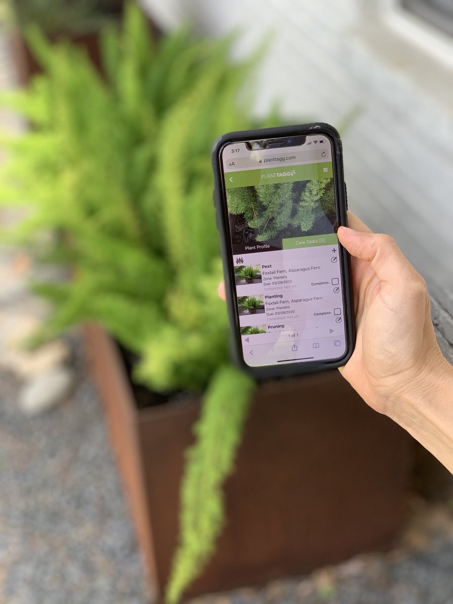 RuibalsPlants's tweet photo. We’re partnering with @planttagg, a smart mobile technology that tells you when it's time to prune, fertilize and water to keep your plants alive and thriving. Text 'RUIBALS' 46376 to get started. And It's FREE!
#ruibals #planttagg #plantcare #plantcare101 #plantcaretips https://t.co/Qg9e0LMRaF