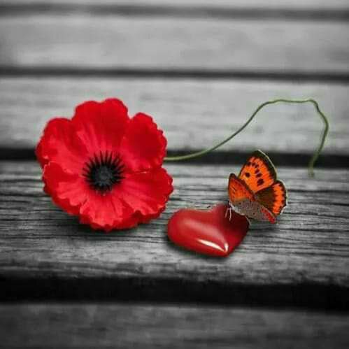 ؛،؛
أحيانا تكون الطريقة الوحيدة لشفاء جروحنا هي..... التصالح مع من تسبب بها💔!
،؛،
#حروف
#حروف_وقهوة 
#حروف_بعطر_المسك