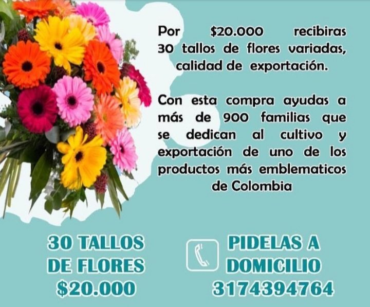 Siberiana79's tweet photo. Medellín #ApoyemosLocal #YoMeQuedoEnCasa https://t.co/nUPMefegG9