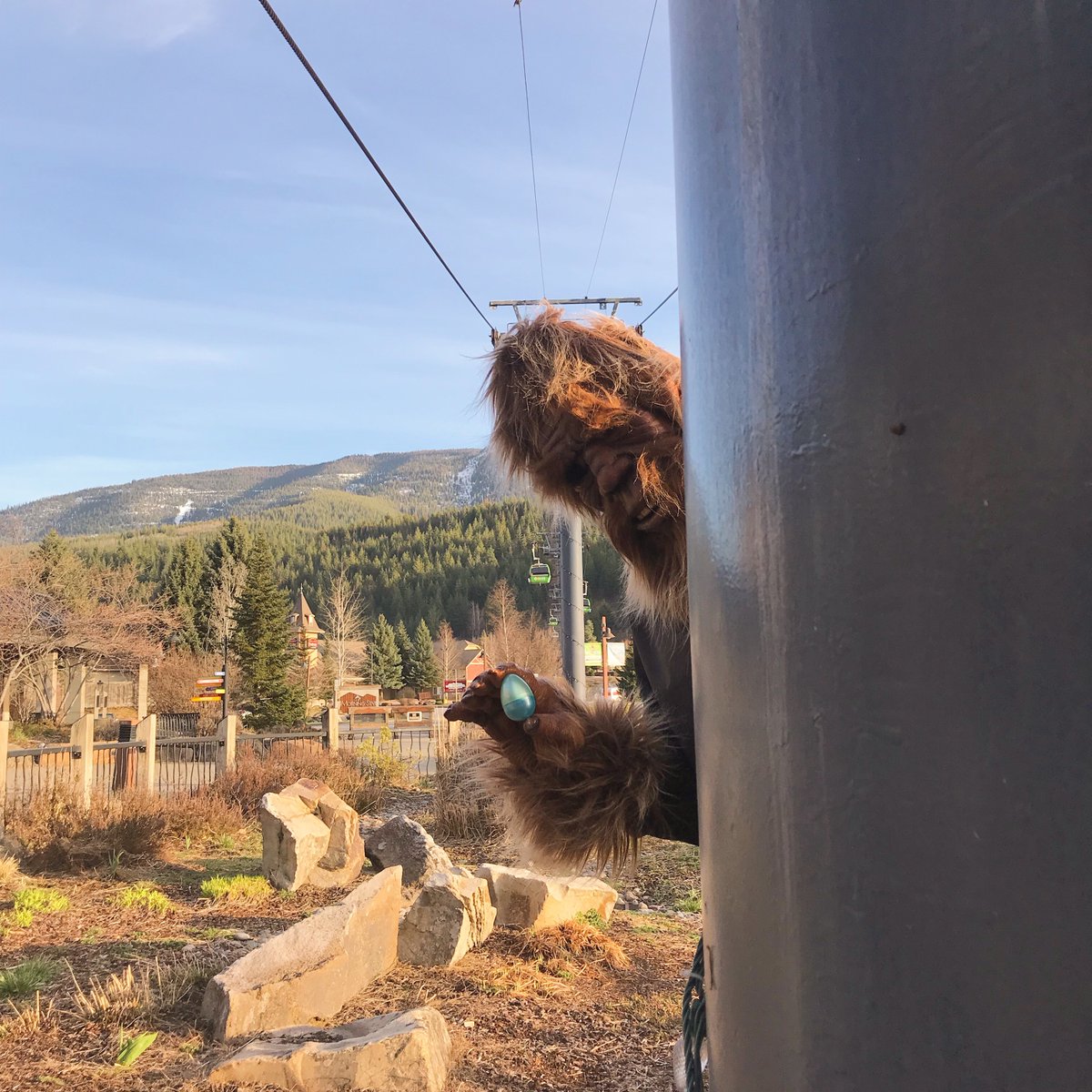 Silver Mountain tweet media