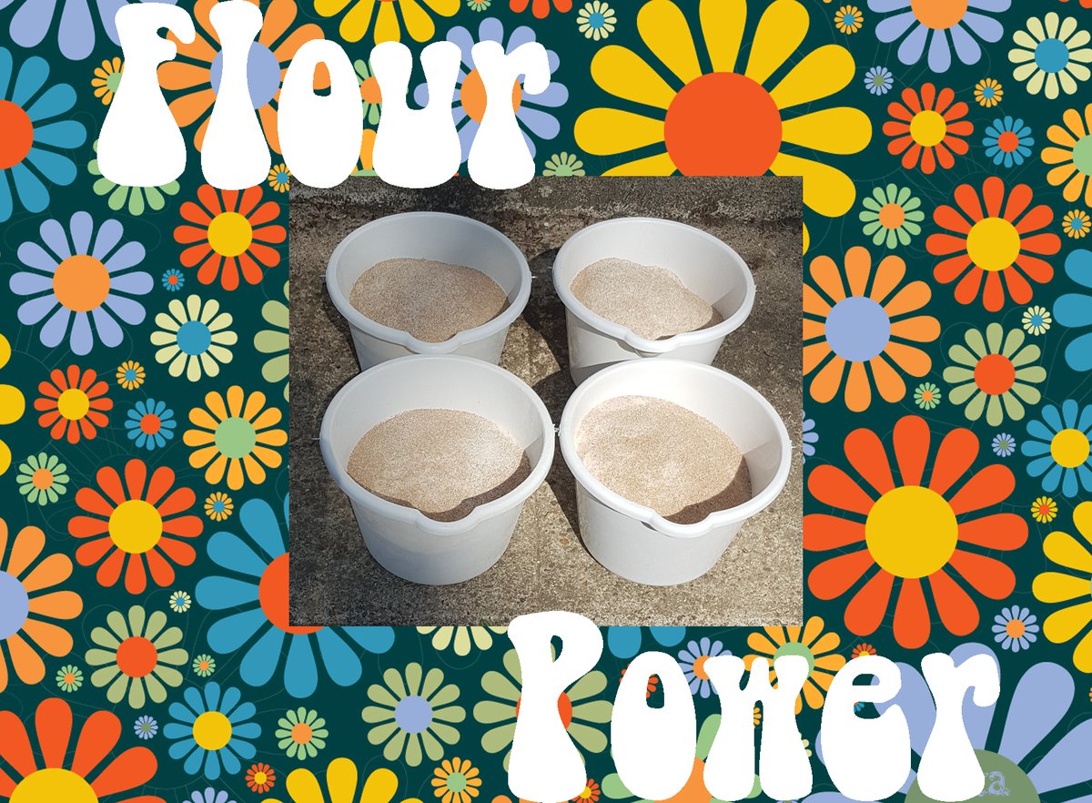 Moulin2Roues's tweet photo. Garden Centres closed so made our own flour ! #LockdownEaster 

fait de la farine #CONFINEMENTJOUR27 https://t.co/8HiBfJt1Ay