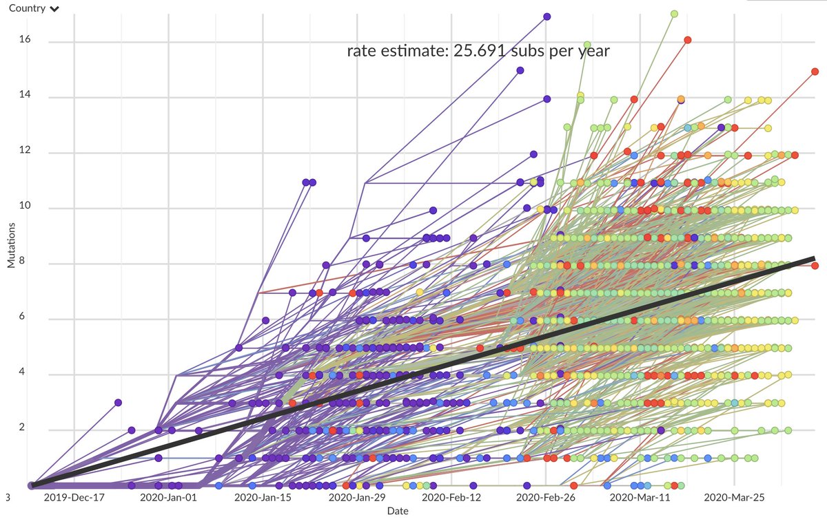 For (2), the genetic relationships among sequenced viruses reveals their transmission history as described here  https://nextstrain.org/help/general/how-to-read-a-tree.  #SARSCoV2 accumulates genetic changes at about 2 per month along a transmission chain ( https://nextstrain.org/ncov/global?l=clock). 9/18