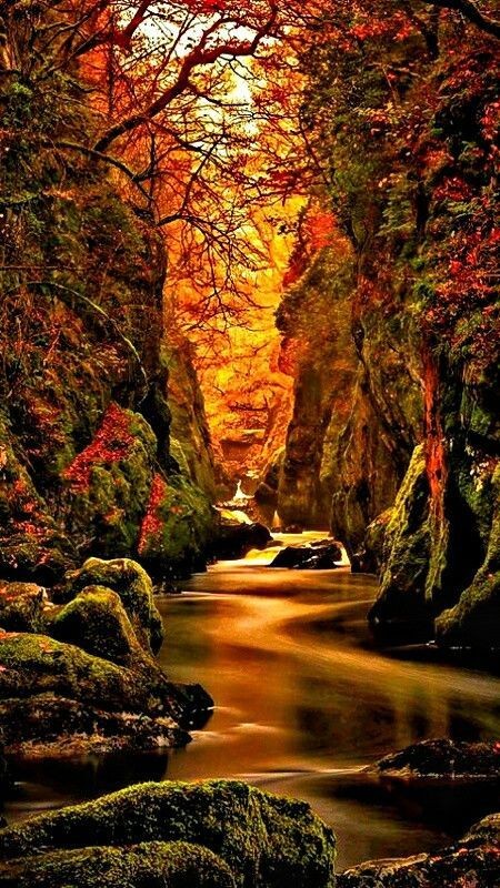 Nicol00456165's tweet photo. Colours are the smiles of nature.                                            #gobackpacking                             #BaublesandStrands #OutlandishOrange https://t.co/akEFecqqir