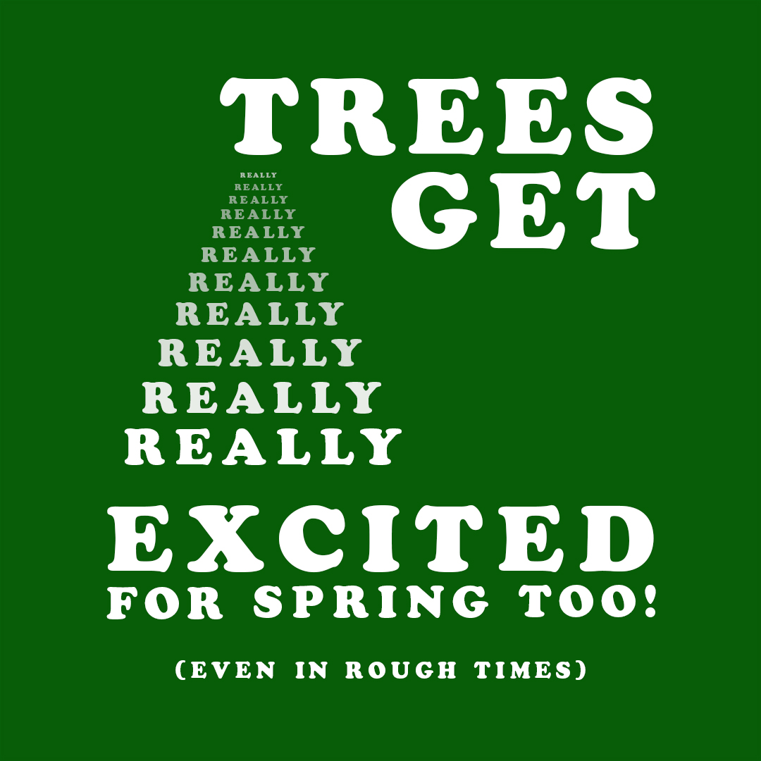 TreePeople_org's tweet photo. If you're feeling a bit down today, see if you can notice a shoot of something new growing. Life is everywhere. #findyourtree #treepeople #trees https://t.co/jcrQQtwTkW