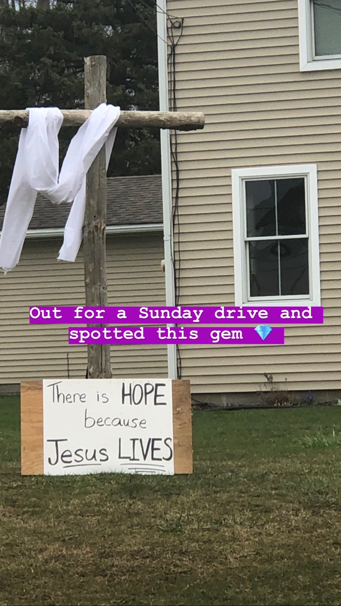MongooseAmanda's tweet photo. Happy Easter 🐣✝️🌸💕 https://t.co/1BZ4LeIG6R