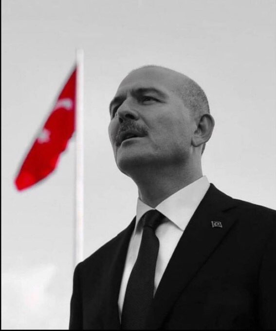 Bir SOYLU yeter , o kadar soysuza.

Süleyman SOYLU
