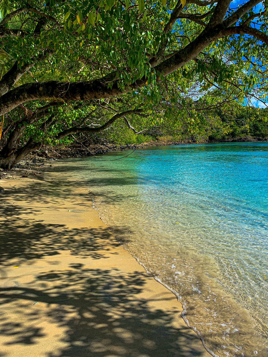 djglad972's tweet photo. My Islande 😎☀️🌴 #Martinique #paysage #sea #beach #ocean #nature #paradise #travel #water #sand #sun #landscape  #panorama #beautiful https://t.co/TTNlB6nYpU