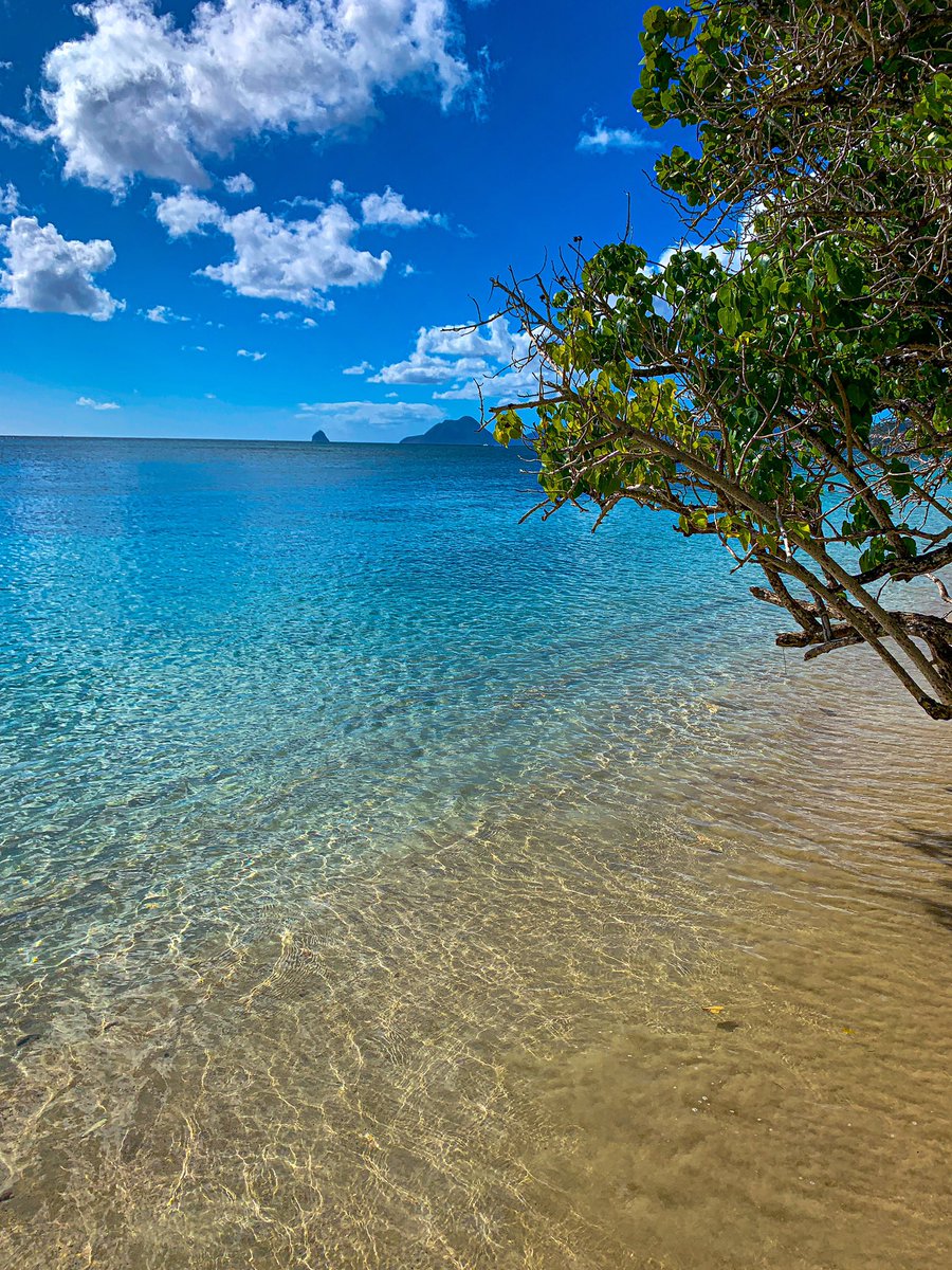 djglad972's tweet photo. My Islande 😎☀️🌴 #Martinique #paysage #sea #beach #ocean #nature #paradise #travel #water #sand #sun #landscape  #panorama #beautiful https://t.co/TTNlB6nYpU