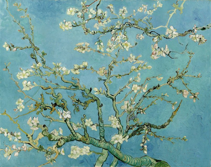 chanyeol as van gogh painting; a thread; almendro en flor