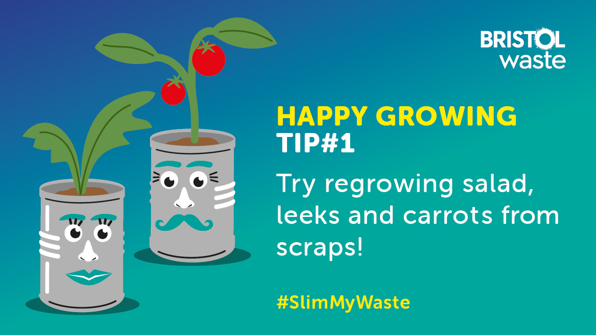 BristolWaste's tweet photo. Some salad leaves &amp; vegetables can be regrown from scraps - perhaps some of the veggie scraps from your Easter roast? 

Find some ideas to get you started here: https://t.co/U4MKAw2TJe 

More tips for reducing your food waste 👇
https://t.co/3786d1SCxG #SlimMyWaste #WasteNothing https://t.co/axBZA0wqS3