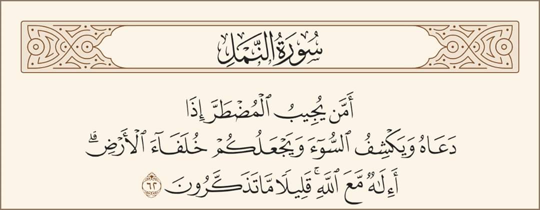 hussein gad (@hussein33795418) on Twitter photo 