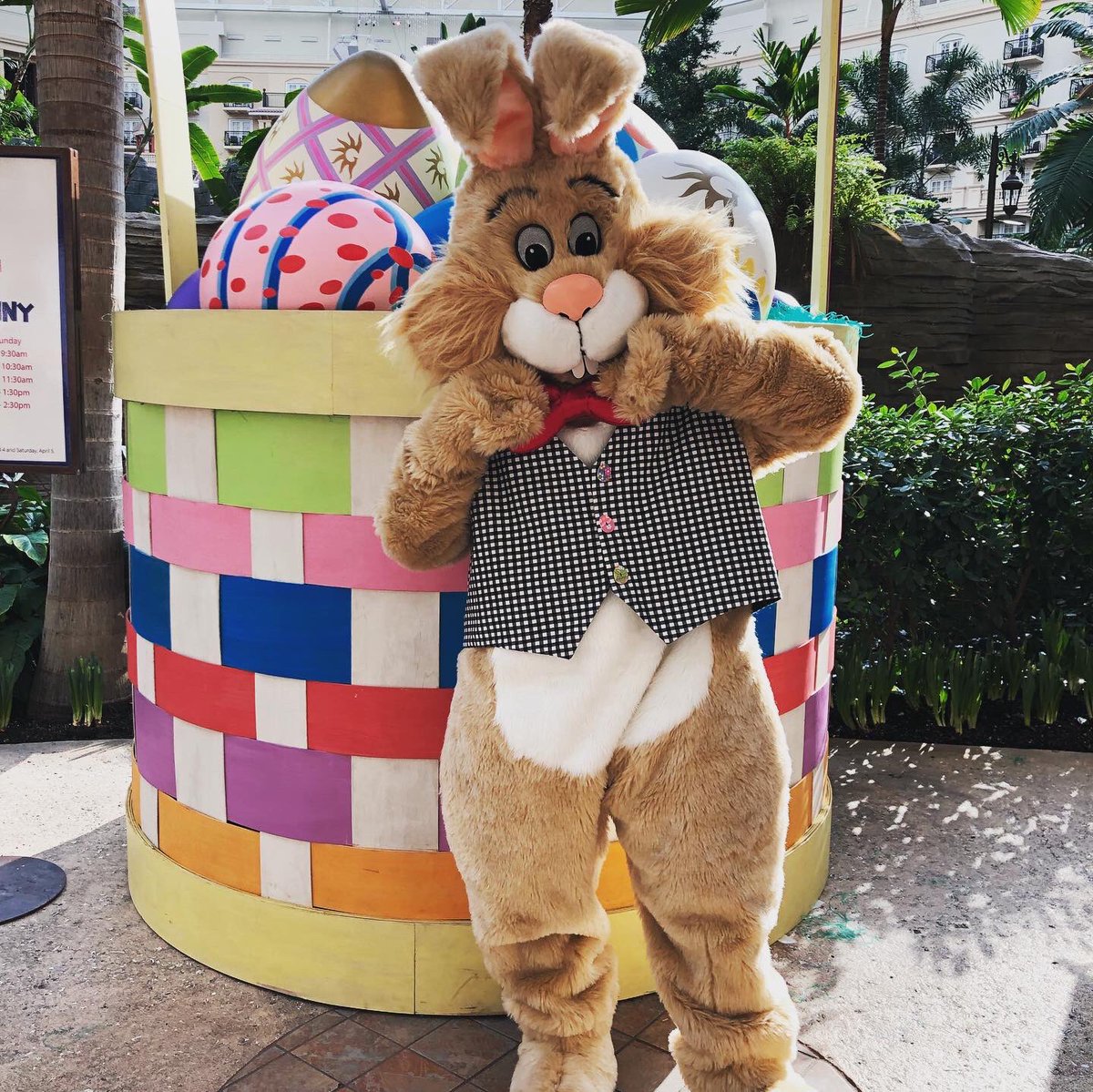 ParksandBeyond's tweet photo. 🐣 Happy Easter 🐰 Missing one of our favorite Easter destinations, @GaylordPalms #MyKissimmee #GaylordPalms https://t.co/mpGNbZR23C