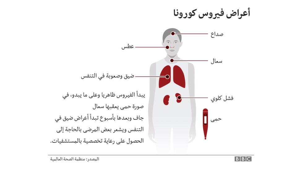kingdomofdocs's tweet photo. #فوضى_الجوع_بتركيا 
 #kingdomofdoct https://t.co/xr5uSO6TzK