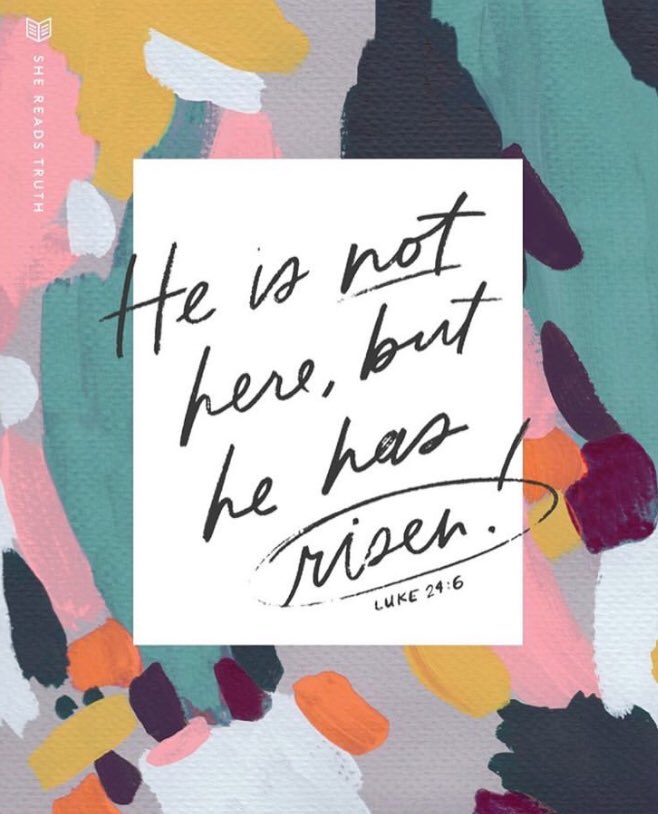 Addi Wikle tweet media