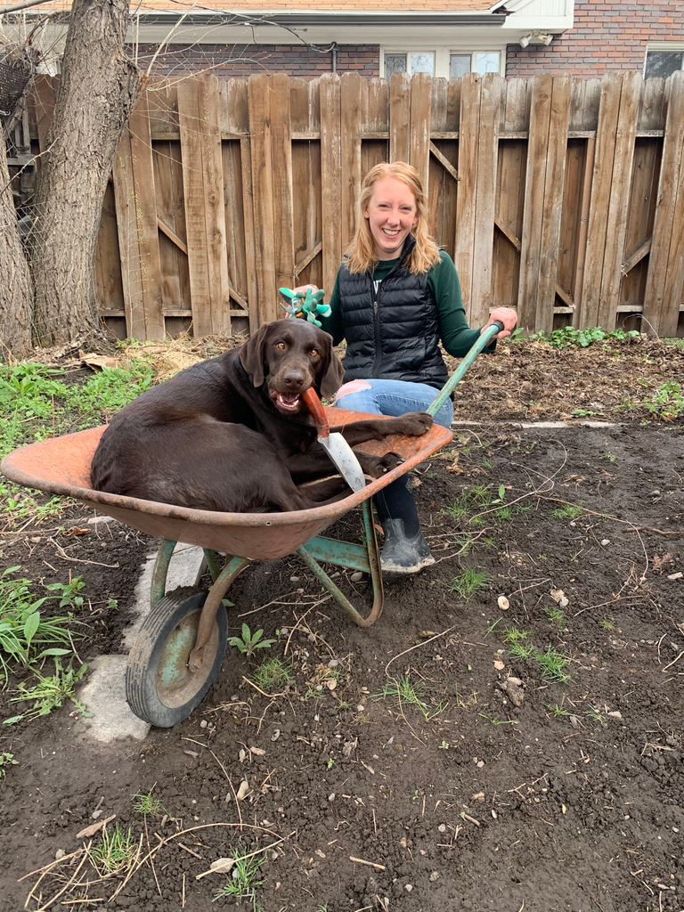 We hope you're making the most of this lovely spring holiday no matter how you're choosing to spend it! We especially hope you've had some garden helpers this weekend to make you smile. Here, Shadow "helps" our Seeds of Success Director prep her own garden.