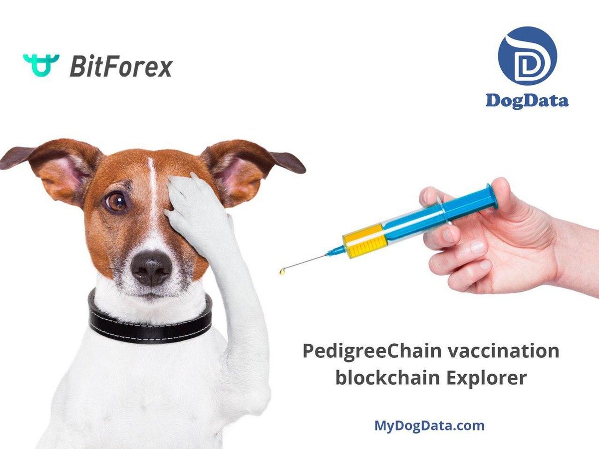 erfanmaulida's tweet image. Global Airdrop #DogData ($5)

500 #EtherBone + 100 #ETHBN 
Listing on #Bitforex May 2020 

Register: t.me/DogDataICObot?…

@cctip_io Airdrop 200 XYO 50