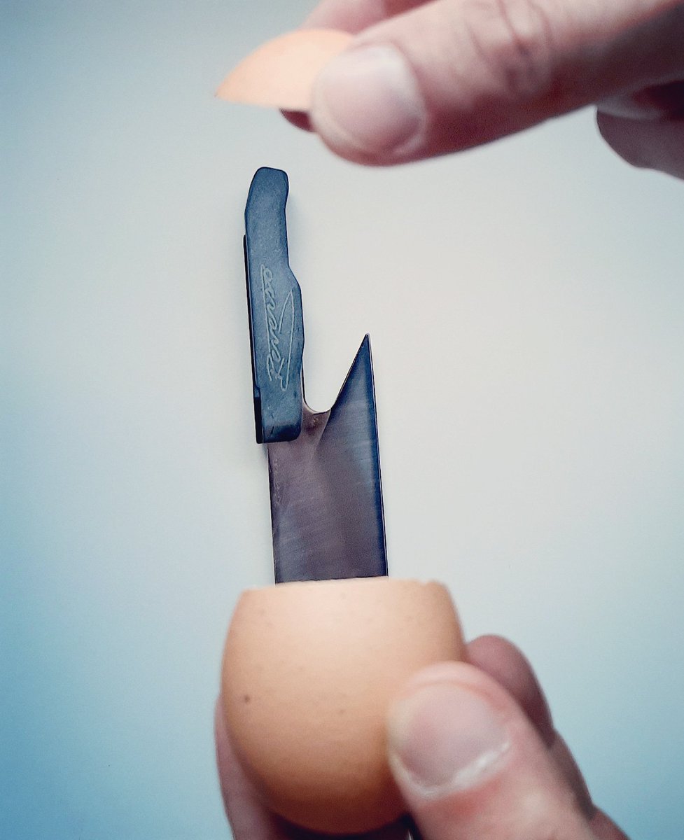 REVERSO®IDEAS tweet media