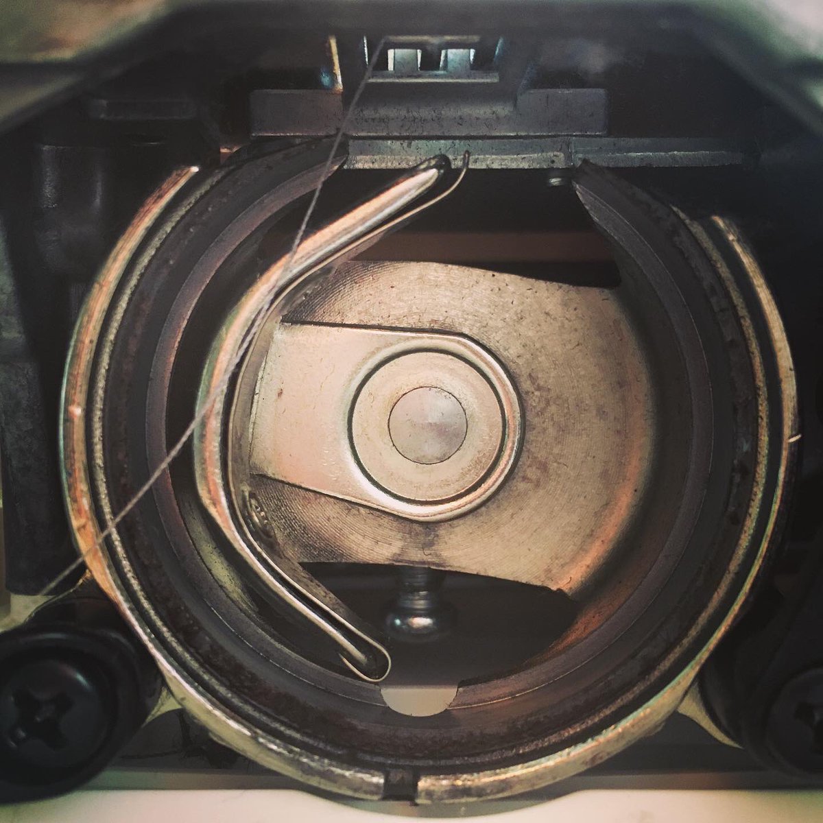 Mary McLeod (@mmcleodphoto) on Twitter photo 