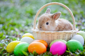 AwardsCreative's tweet image. Happy Easter from our CWA family to yours!