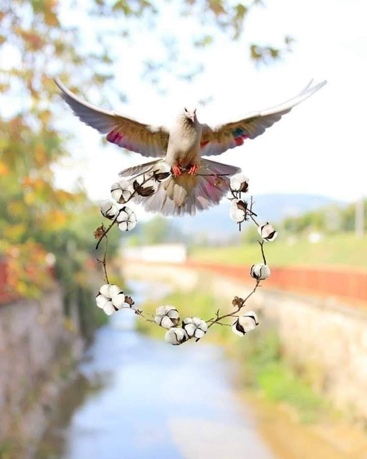 EVbXx0CXQAAdDGQ