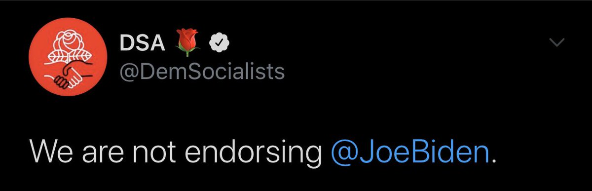 I’m a progressive. I was with Warren from day one, but the second she dropped out, I supported Bernie. When Warren suspended, I was repeatedly told by white DSA members, “if you care about those who would benefit from Warren’s policies, you have to support Bernie.”