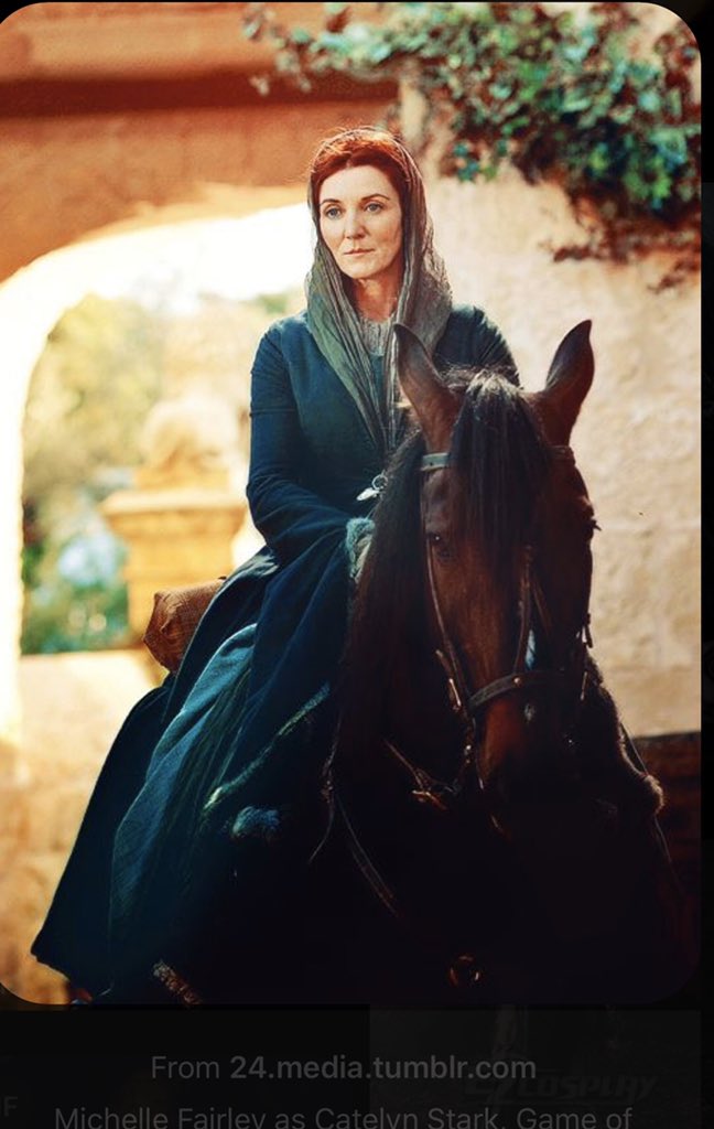 Catelyn Stark was more admirable than Ned Stark. She was honorable AND intelligent. If Robb took ANY of her advice the war would’ve went differently. I don’t hold Jon against her. Even to this day women don’t like bastard children.