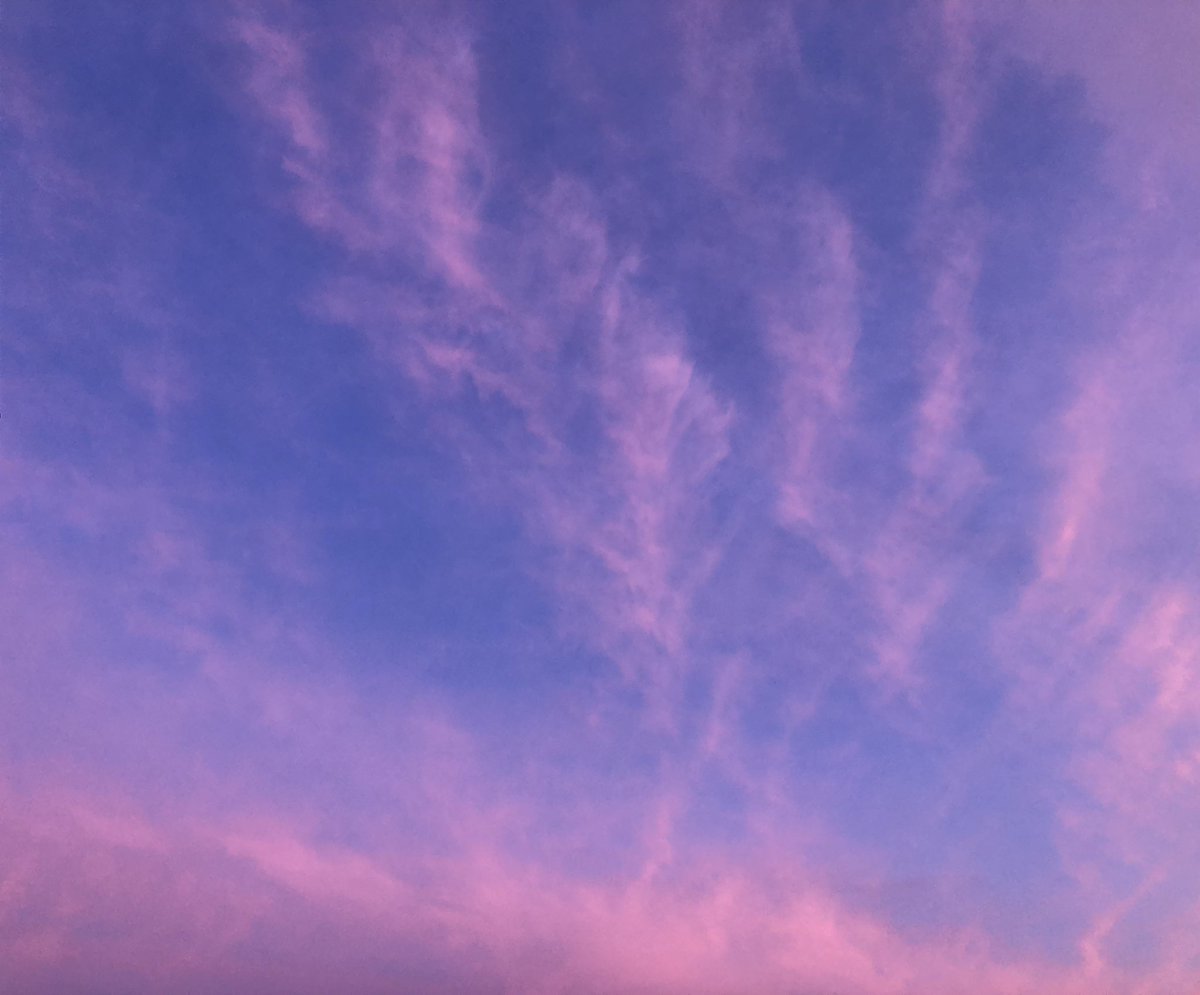langostahahaha's tweet photo. Estoy enamoradisima del cielo asi q a partir de hoy subiré fotos tipo diario (abro hilo de appreciation) https://t.co/3TsGLMhcyW