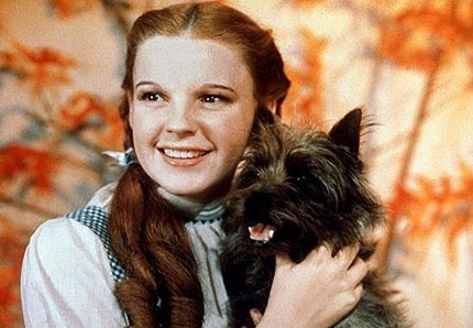 “Yo tampoco” means “me either.” If her friends don’t mess with you, neither will she, positioning herself as the head honcho of rap again. “Toto” was the dog (or bitch) in The Wizard of Oz, owned by main character Dorothy.