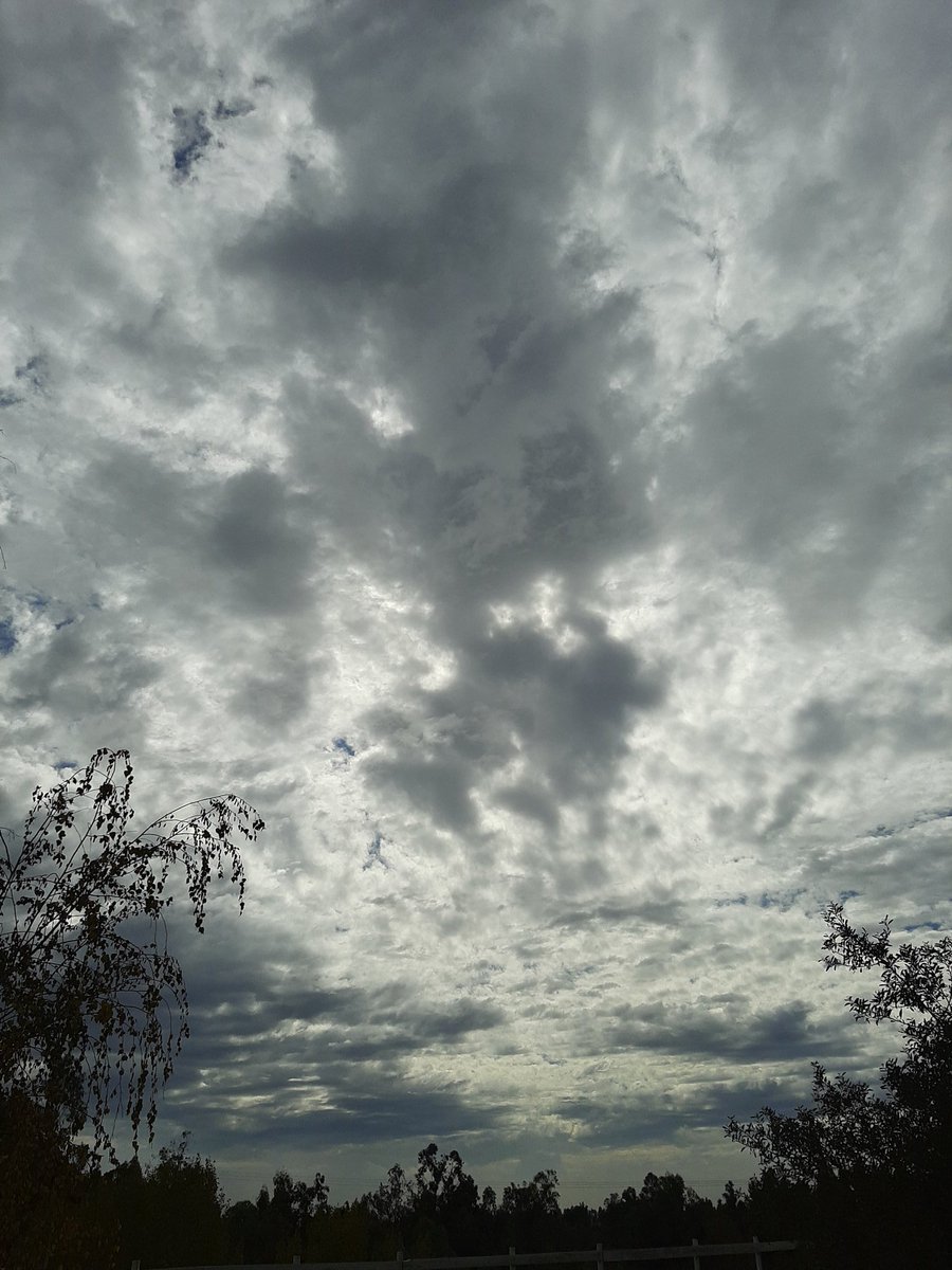 Acabo de sacar esta foto de mi campo lindo después de la lluvia....hay un detalle hermoso en el extremo derecho...sorry soy hombre de fe ! #SemanaSantaEnCasa #DomingodeResurreccion #BordePirque