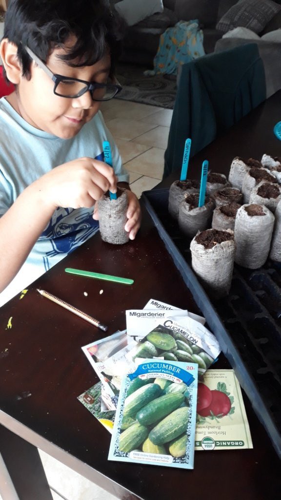 One of my parents messaged me this, this morning! Love seeing that my student is still engaged and learning more about gardens! He especially loves tomatoes and cucumbers! He is really missing garden club! <a href="/Columbia_VVUSD/">Columbia Elementary</a> <a href="/ShawnessyWatts/">Shawnessy Watts</a> #RocketPOWER