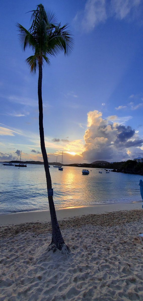 Feeling the need to travel #getmeouttahere #IslandLife .