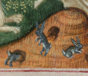 BLMedieval's tweet photo. Discover medieval rabbits in all their guises in today's blogpost #HappyEaster https://t.co/N5lThmblUm https://t.co/EDRFui4ZZd