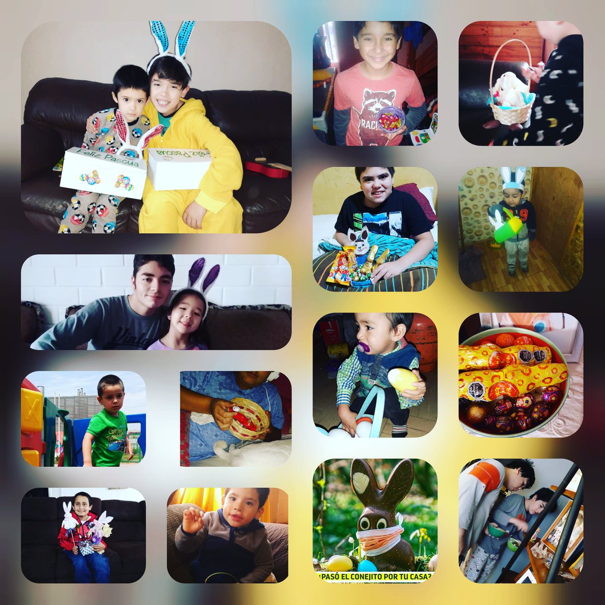 RiceteaB's tweet photo. Así celebraron nuestros niños y niñas 🧒👧🧩💙la llegada del 🐇 en la pascua de resurrección...que el amor los cuidé..y los esperamos en nuestra casita azul muy pronto  Abrazos besos y cariños siempre 💕💕💕💕💕💕💕💕 https://t.co/JouADpydrg