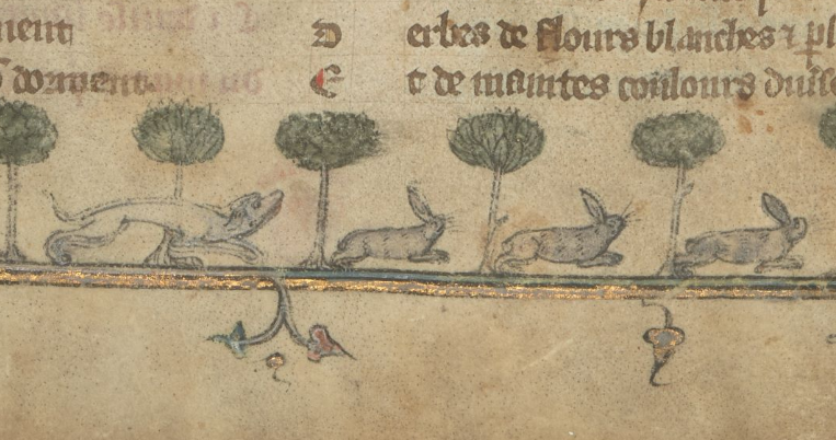 BLMedieval's tweet photo. Don't underestimate a medieval rabbit 🐰 Find out why in today's blogpost https://t.co/N5lThlTL2O https://t.co/XKlAcTT4S9
