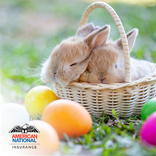 IvieFinancial's tweet photo. Happy Easter from our American National family to yours! https://t.co/DZSbNj93OM