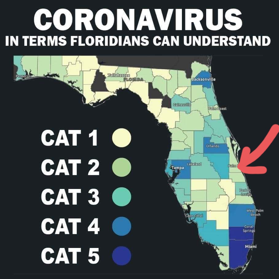 DefiningTrump's tweet photo. #BrevardCounty is deplorable in testing compared to even other counties. Inaccurate numbers in FL. #covid19 is closing in on us quickly and about 30% care about #SocialDistancing. Shame on #DeSantis! #coronavirus 😷#DeSantisBetrayedFlorida 🤢@realDonaldTrump🤮 #trumpcovidfails https://t.co/8XxfoYETjB