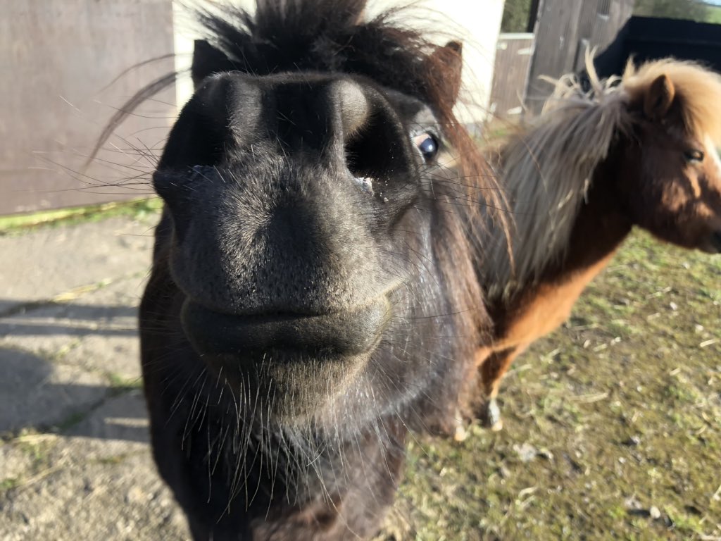 Living_Narrow's tweet photo. @NarrowboatExp 🦄 My babes 🦄 https://t.co/2ipoBIySgW