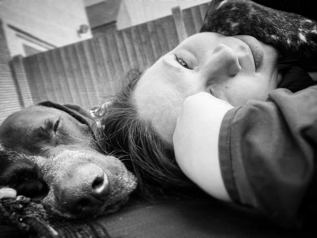 kellyhacker's tweet photo. Love this boy 🖤🤍 #sosweimaraner #rescuedog #germanshorthairedpointer #handsome #gspofig #gsp #pointersofinstagram #pointerproblems #pointerlove #gspoftheday #gsplove #dogsofinstagram #birddog #huntingdog #gundog https://t.co/luFgvkrQGA https://t.co/iBrgfe3gAh