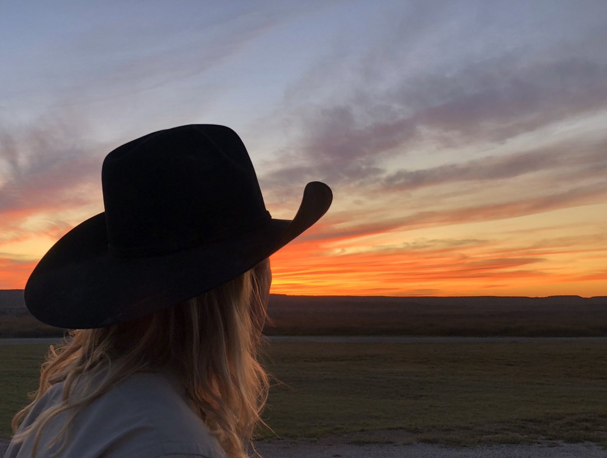 Colorado Buck tweet media