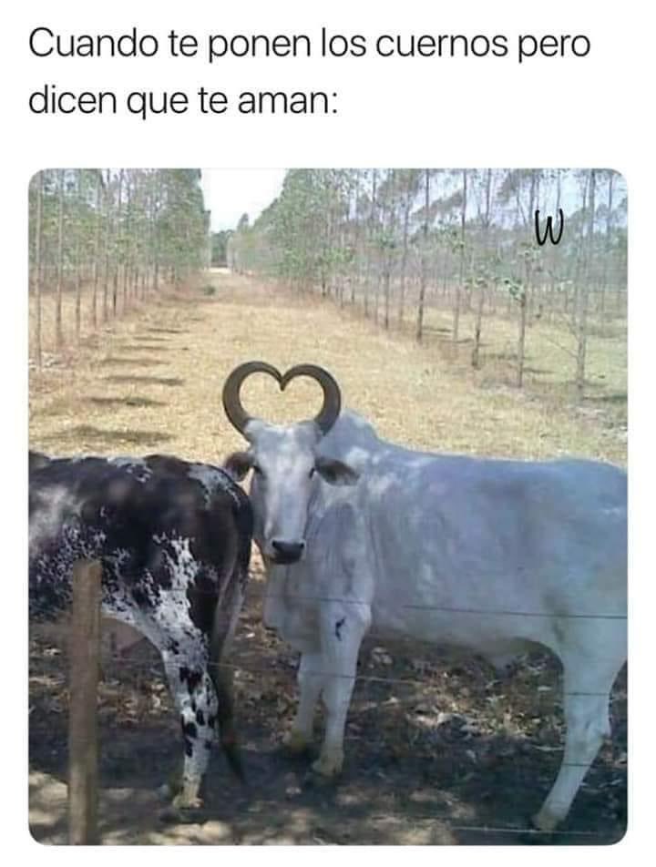lvsfidalgo_11's tweet photo. Pero vivan los 5 años de amor 🤘🏻🤩 https://t.co/CNa11BV8lb