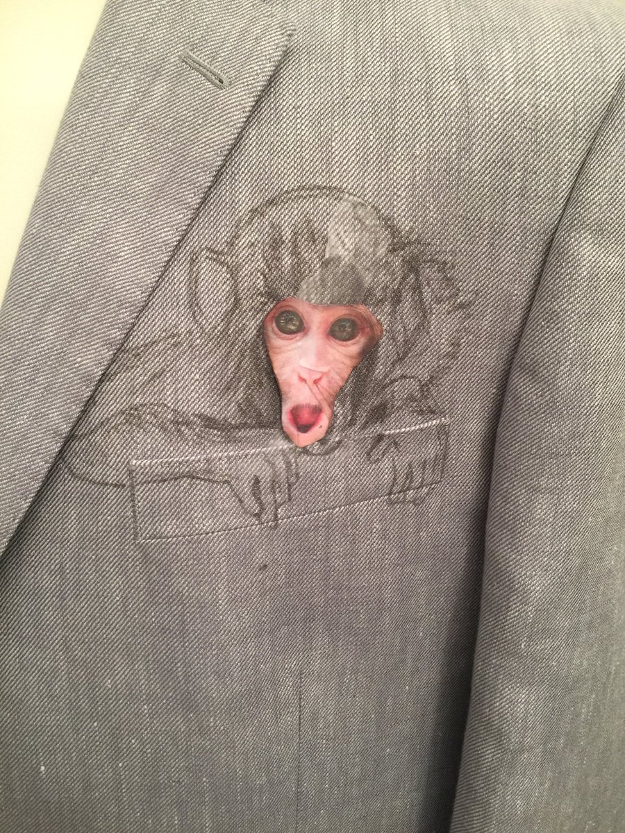 Mike_Batt's tweet image. There’s a monkey in my pocket! (or nearly) - step two of painting my next jacket. #acrylicfashion #jacketpainting